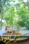 Nonton Film Night Dream Season 1 Episode 1 Terbaru Nonton Film Night Dream Season 1 Episode 1 Terbaru