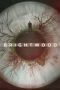 Nonton Film Brightwood (2022) Terbaru Nonton Film Brightwood (2022) Terbaru